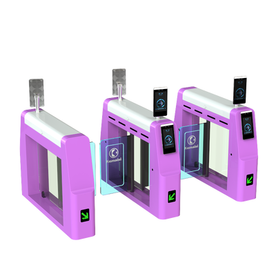 buy Amusement Park Entrance QR Code Recognition Timed Consumption Swing Barrier online manufacture